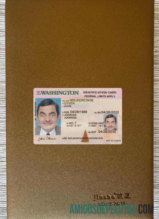 USA Washington ID Card 2022 Present olhar de foto frente exemplo